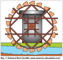Schemat Norii